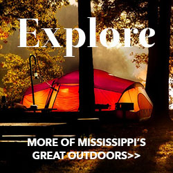 Camping-Outdoors